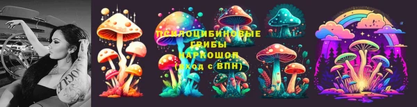 гашиш Новозыбков