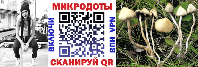 Галлюциногенные грибы GOLDEN TEACHER закладки Печора